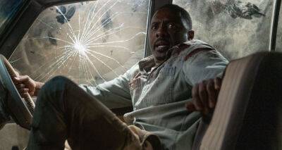 Idris Elba - Idris Elba Runs From Killer Lion in First 'Beast' Trailer - Watch Now! - justjared.com - South Africa