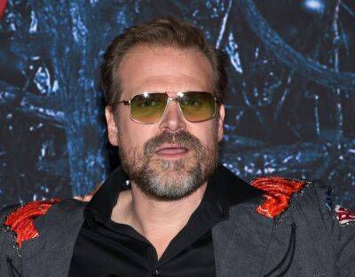Sky News - David Harbour Opens Up About Struggles With Mental Illness: ‘I Could Have Ended Up On The Streets’ - etcanada.com
