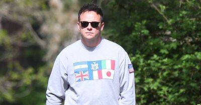 Anne Marie Corbett - Declan Donnelly - Ali Astall - Lisa Armstrong - Ant McPartlin dons sunglasses as he takes his dogs for a walk in London - ok.co.uk - Britain - London - county Armstrong
