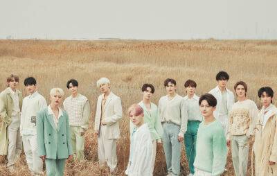 SEVENTEEN say that it “sounds so cringe” to be called “pop stars” - www.nme.com - Britain
