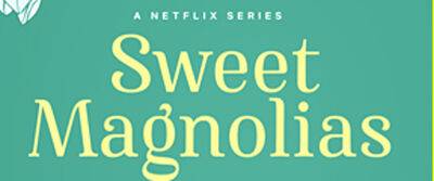 'Sweet Magnolias' Renewed By Netflix, Three Stars Confirmed to Return! - www.justjared.com