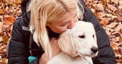Holly Willoughby's mischievous pooch Bailey causes hilarious garden disaster - www.ok.co.uk