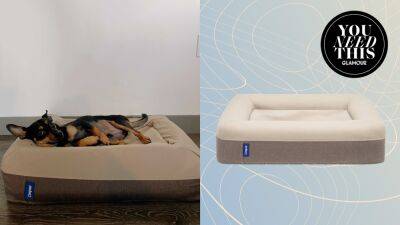 The Casper Dog Bed Is Like a Luxe Mattress for Your Pup - www.glamour.com - Beyond