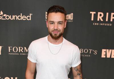 Liam Payne Says There Are ‘Many Reasons’ Why He Dislikes Zayn Malik, ‘I Don’t Agree With Any Of His Actions’ - etcanada.com - Las Vegas - Netherlands