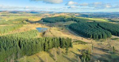 Forest, farmland and man-made loch in rural Perthshire put on market for £1.7 million - www.dailyrecord.co.uk - Scotland