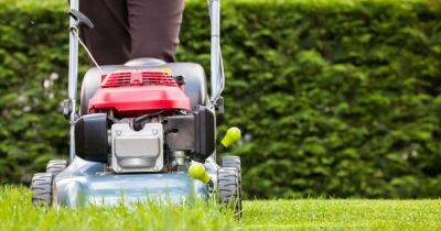 Man baffled as neighbour 'demands he pays her son to mow lawn for £12 a week' - dailyrecord.co.uk - USA - Beyond