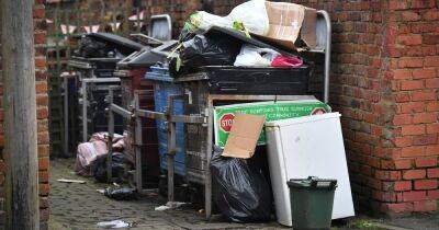 It was infested with rats and a magnet for flytippers - now this Manchester alleyway has been transformed into a beautiful sanctuary - www.manchestereveningnews.co.uk - California - Manchester