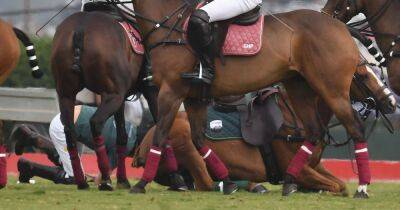 prince Harry - Meghan Markle - Prince Harry - Prince Harry falls off his horse during polo match in California - ok.co.uk - Britain - USA - California - Santa Barbara