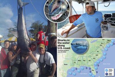 Shaquille Oneal - NYC’s shark boss battles real-life Jaws as sightings, attacks hit record highs - nypost.com - county Nassau