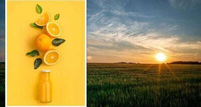 Vitamin C can boost sun protection expert suggests - www.msn.com - city Brussels