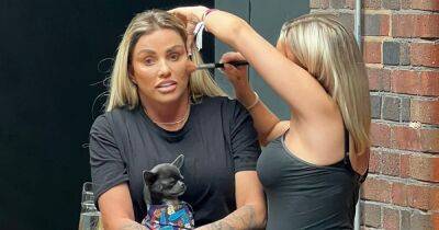 Katie Price cradles dog after 'turning up an hour late' for makeup masterclass - www.ok.co.uk - Birmingham