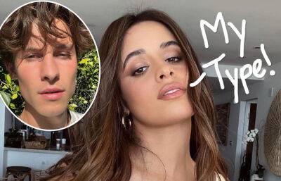 Camila Cabello - Shawn Mendes - El Lay - Austin Kevitch - Camila Cabello Sparks Dating Rumors With Hunky CEO -- Who Kinda Looks Like Ex Shawn Mendes! - perezhilton.com - Austin