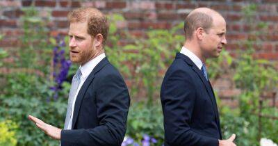 prince Harry - Prince Harry - Meghan - prince William - Williams - William Princeharry - Prince William 'mourning' collapse of his and Harry's relationship, reveals expert - ok.co.uk - county Williams
