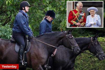 Royal fans skeptical of Prince Andrew’s ‘convenient’ COVID: ‘I call bulls–t’ - nypost.com - county Windsor