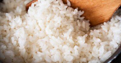 The correct way to cook rice as expert explains why you should never boil it - dailyrecord.co.uk - India