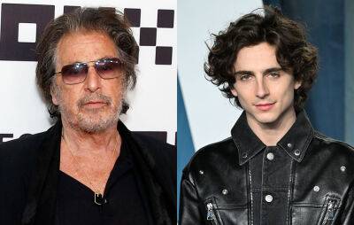 Al Pacino wants Timothée Chalamet to play him in a ‘Heat’ prequel film - www.nme.com - county Hawkins