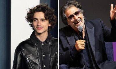 Michael Mann - Al Pacino praises Timothée Chalamet and wants him to take over his role in ‘Heat’ sequel - us.hola.com