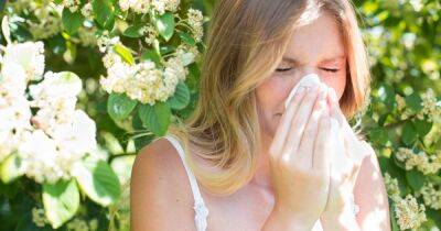 Hay fever symptoms made worse by some of the country's favourite food and drink treats - www.dailyrecord.co.uk