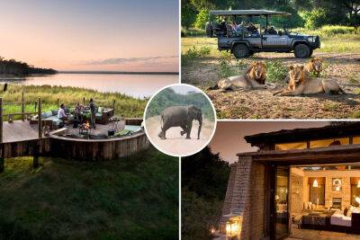 Take it easy after the big wedding day with a slow safari honeymoon - nypost.com - Britain - India - Tanzania - county Norman - Zambia