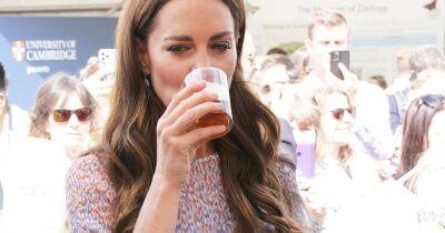 Kate Middleton - William Middleton - prince William - Royal Family - Kate Middleton kicks football in towering wedge heels and drinks beer in new pictures - ok.co.uk - Netherlands