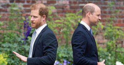 prince Harry - prince William - Royal Family - Estranged brothers Princes Harry and William were 'never good friends', says expert - ok.co.uk