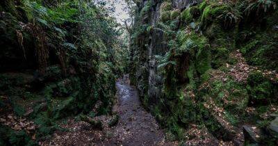 The magical Derbyshire gorge walk which feels like somewhere from a fairy tale - www.manchestereveningnews.co.uk