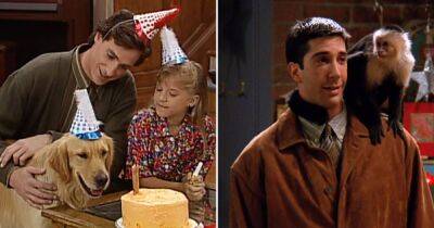 Jodie Sweetin - Ashley Olsen - Kate Olsenа - Cameron Bure - Beloved TV Pets Through the Years: Full House’s Comet, Friends’ Marcel and More - usmagazine.com