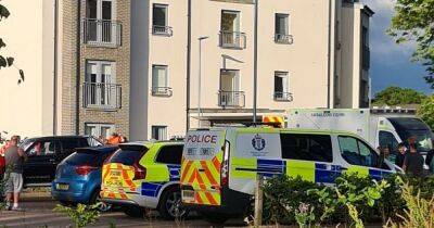 Two charged over Larbert 'murder bid' as man airlifted to hospital after 'stabbing' - www.dailyrecord.co.uk - Scotland