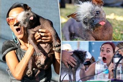 Star Trek - Dogs - World’s Ugliest Dog of 2022 winner: Meet Mr. Happy Face, a 17-year-old stunner - nypost.com - New York - China - California - Arizona