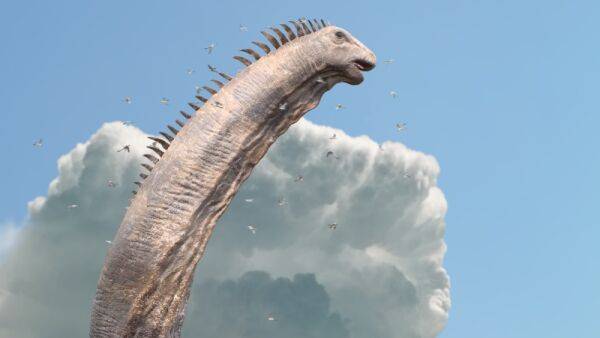 NBC Orders 8-Episode Prehistoric Series ‘Surviving Earth’ - thewrap.com