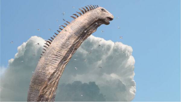 NBC Digs Up Dino Docuseries ‘Surviving Earth’ From ‘Walking With Dinosaurs’ Creator - deadline.com - Britain - Saudi Arabia