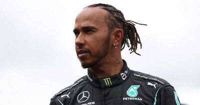 Lewis Hamilton gives the best response to Nelson Piquet's racial slur about him - www.msn.com - Britain - Brazil - city Abu Dhabi - Netherlands - Portugal