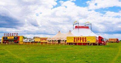 Popular Zippo's travelling circus coming to Falkirk later this month - dailyrecord.co.uk - Britain - Brazil - Scotland - Ireland - Cuba - Kenya - Argentina - city Havana - Czech Republic - city Santos - Mongolia