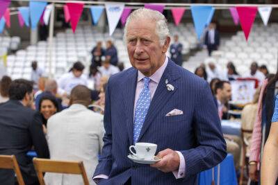 Prince Charles Says He Hopes People Don’t Go Back To ‘Bickering’ After Platinum Jubilee Celebrations - etcanada.com - California