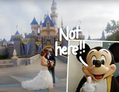 Disney Employee SNATCHES Engagement Ring Mid-Proposal! You Have To See This! - perezhilton.com