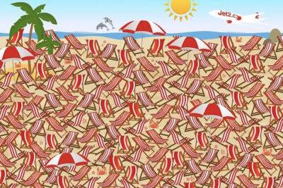 Good luck finding the hidden skis in this beach illusion in under 28 seconds - nypost.com - London