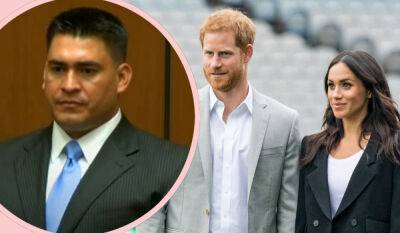 Prince Harry & Meghan Markle's New Head Of Security Has Criminal Past -- Including Domestic Violence Charge - perezhilton.com