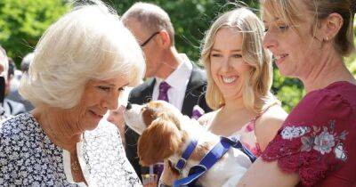 Camilla celebrates 160 years of Battersea dog and cats home with Amanda Holden - www.ok.co.uk - Britain