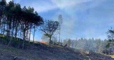 Police investigating 'deliberate' Dovestone fires which could have been 'devastating' - www.manchestereveningnews.co.uk - Manchester