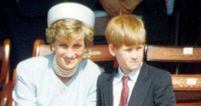prince Harry - princess Diana - Prince Harry - prince William - Royal Family - Prince Harry says he sees Princess Diana's 'legacy' in Archie and Lilibet - ok.co.uk