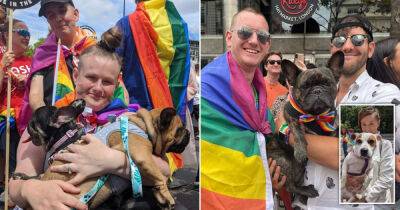Kelly Holmes - Joe Locke - Very good dogs steal our hearts as they join the party at London Pride - msn.com - county Lane - county Bristol