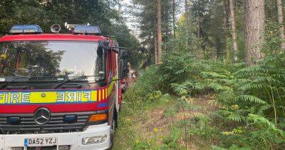 Wildfire breaks out in Delamere Forest during hottest day on record - manchestereveningnews.co.uk - Britain - county Cheshire