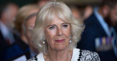 princess Diana - Camilla - Camilla's forgotten title and why she's refused to use it for 20 years - ok.co.uk - county Charles