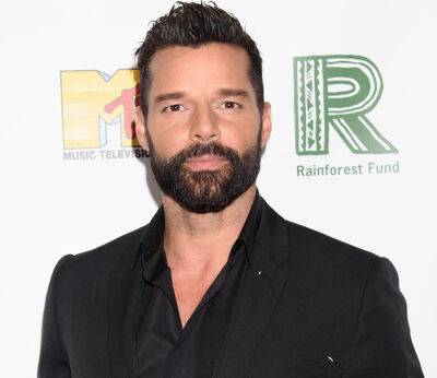 Vida Loca - Ricky Martin - Ricky Martin's Nephew Withdraws Court Claims Of Incestuous Affair & Harassment - perezhilton.com