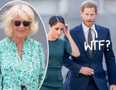 'Racist' Royal?! Camilla Parker Bowles Reportedly Wondered If Meghan & Harry's Baby Would Have 'Ginger Afro Hair' - perezhilton.com