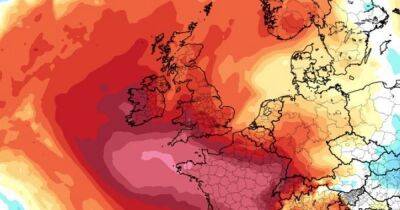 Scotland set to sizzle in more heatwaves as Saharan surge brings temperatures of 27C - www.dailyrecord.co.uk - Britain - Scotland - county Garden