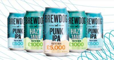 BrewDog hides £50k in beer cans as part of fan scavenger hunt - www.dailyrecord.co.uk - Britain - Scotland