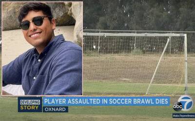 California Soccer Player Beaten To Death In 'Large Fight' Involving Opposing Players & Fans Mid-Game - perezhilton.com - New York - Texas - California - city Sanchez - county Ventura - Berlin