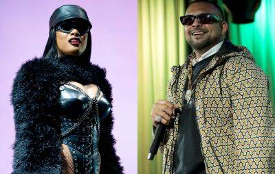 Megan Thee Stallion and Sean Paul sued over alleged copyright infringement on ‘Go Crazy’ - www.nme.com - county Stone