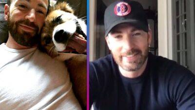 Chris Evans - Meet Chris Evans' 'Long-Term Partner': His Adorable Dog Dodger! (Exclusive) - etonline.com